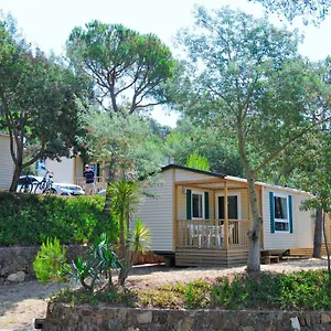 **** Camping Camping Treumal España